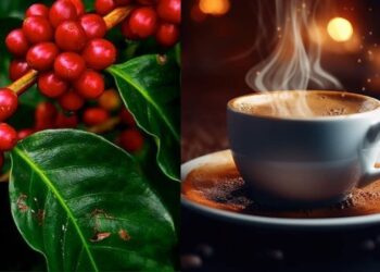 Opinion: Is our Economy Dependent on a colonial template?