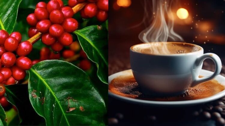 Opinion: Is our Economy Dependent on a colonial template?