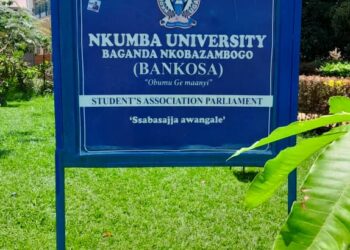 Baganda Nkobazabogo continues push for cultural heritage