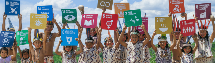 The Interplay of Politics and Progress: Analysing Uganda’s SDG Achievement Amidst Electoral Dynamics