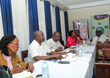 RoWASHI Steering Committee Holds Meeting Following Rotary Global Grant Success