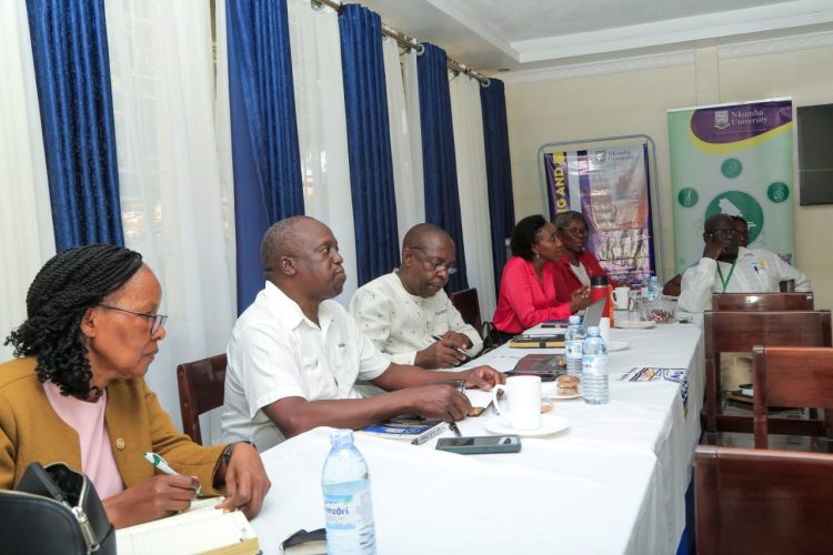 RoWASHI Steering Committee Holds Meeting Following Rotary Global Grant Success